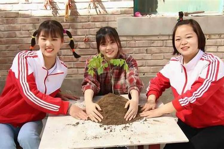 梦见表姐