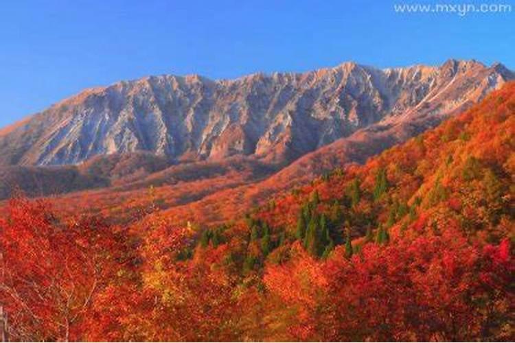 梦见远处看见绿色大山的预兆