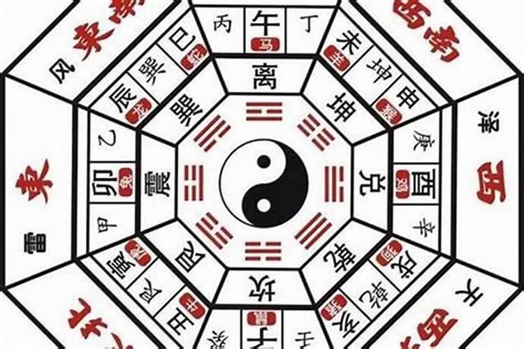 青蛇进家里是什么预兆,该怎么处理
