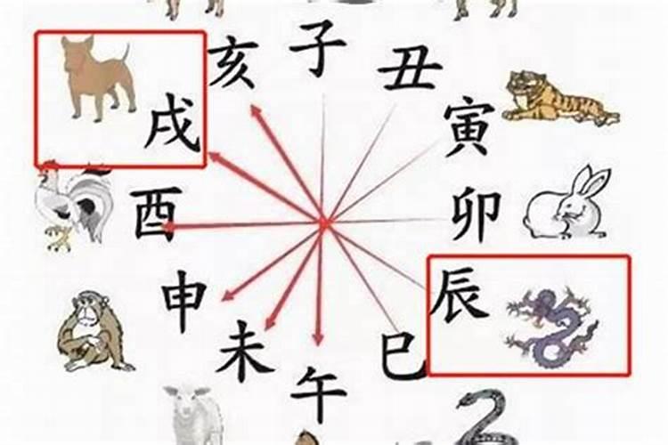 八字相合的人会在一起吗