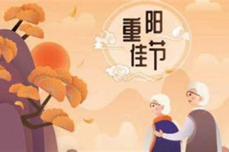 重阳节可以开展哪些活动