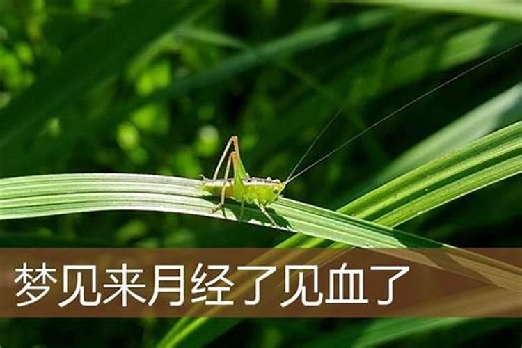 广西“鬼节”万鸭上市,民众是如何“花式”吃鸭的？