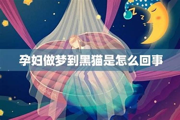 梦见猫是什么预兆 学生？