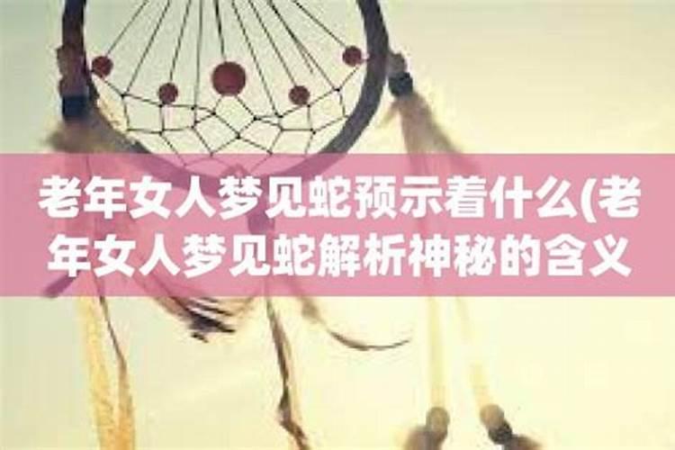 中老年女人梦见蛇是什么意思