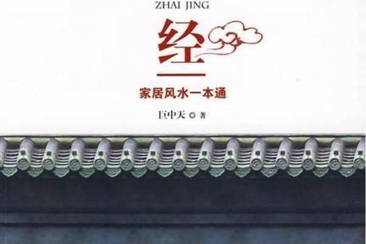 巨天中的经历