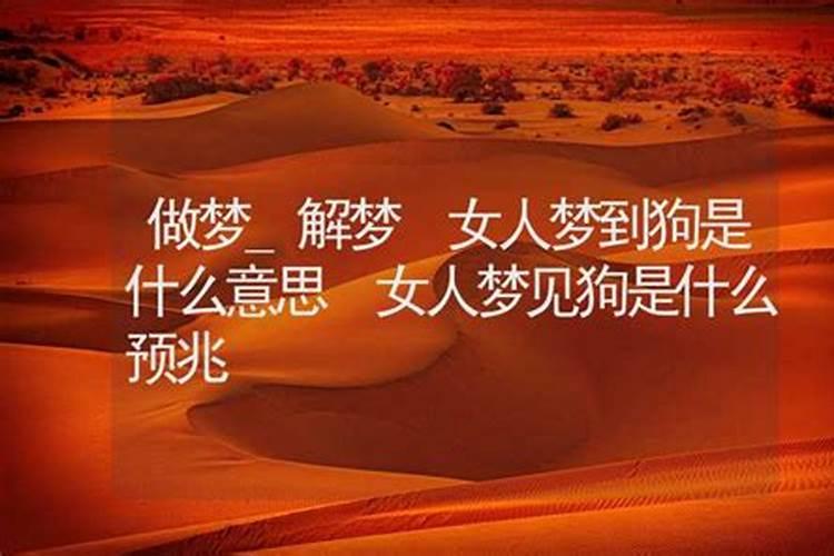 做梦梦到狗是什么征兆