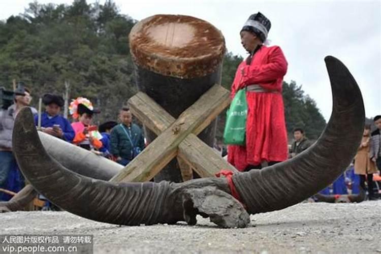 属狗的人犯太岁如何去化解？