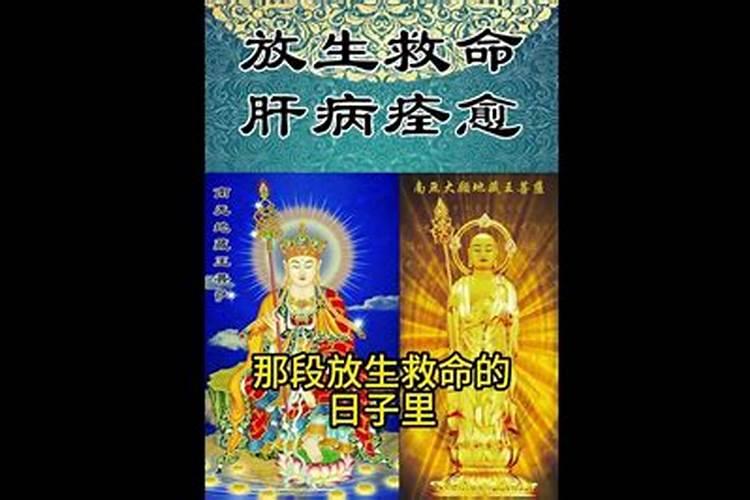 放生能给孩子治病吗