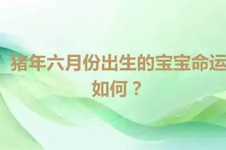 6月出生的猪宝宝起名字叫什么好？一生的运势如何？