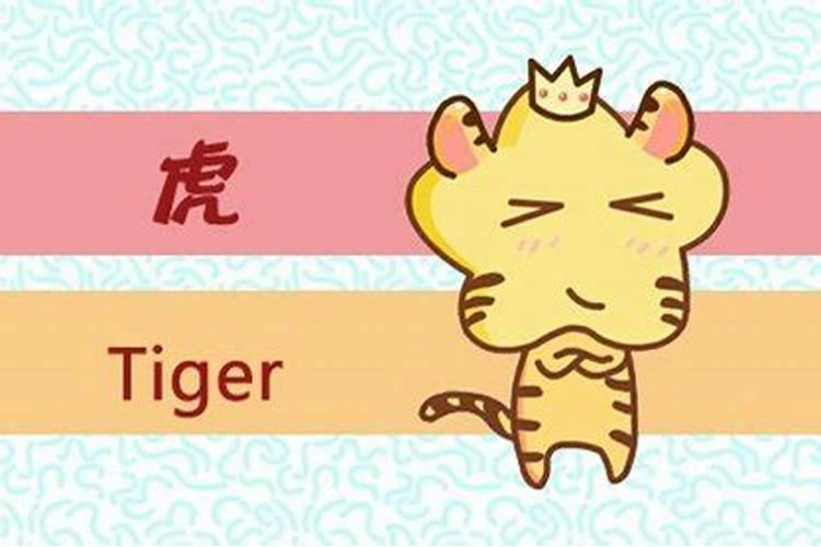 属虎男的和属虎女的婚姻合适好吗 男虎跟女虎相配结婚好吗