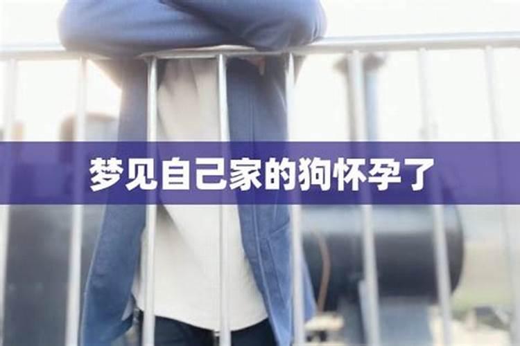 梦见滚滚洪水的预兆