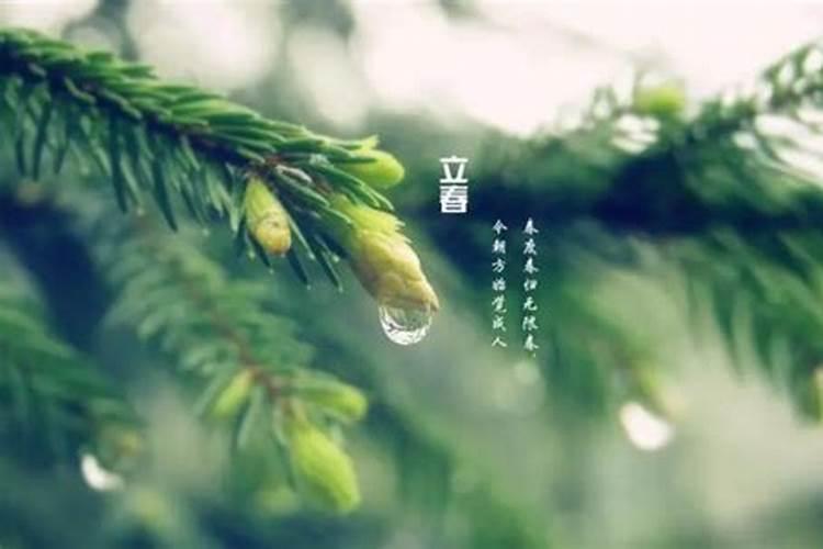 立春是农历还是阳历