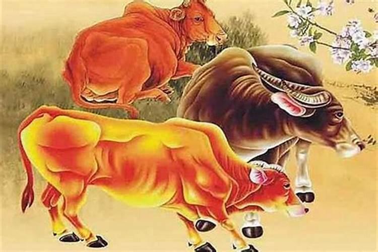 梦见老虎在我身边我好害怕？