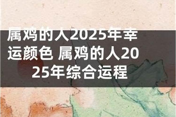 什么属相适合养猫 什么属相适合养猫咪