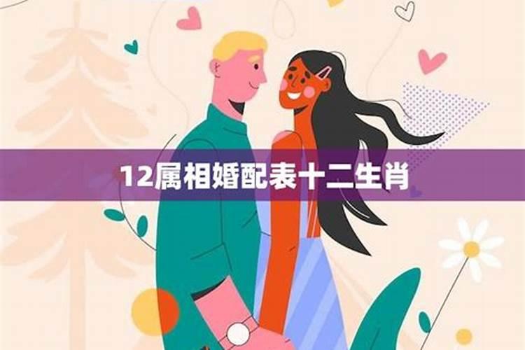 最佳夫妻属相婚配表,十二生肖的最佳婚配