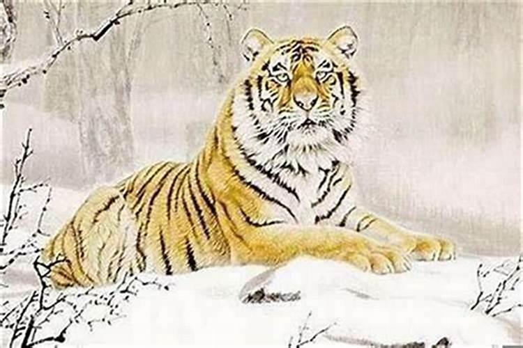 梦见和死去的人一起吃饺子的预兆