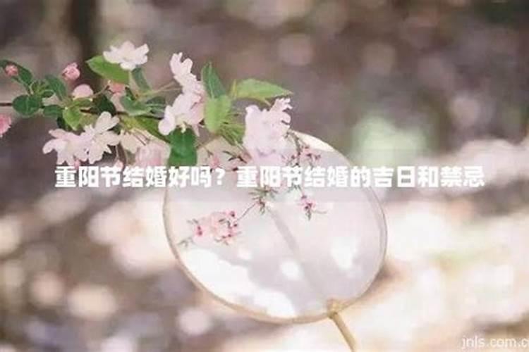 2025年10月29日适合结婚吗