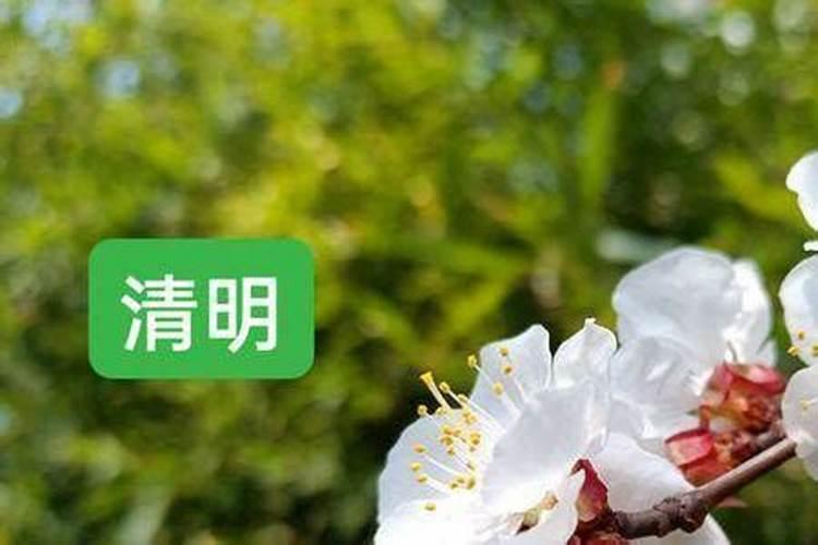 我属狗1983年一月出生(阴历腊月初一),请问我的命运如何？