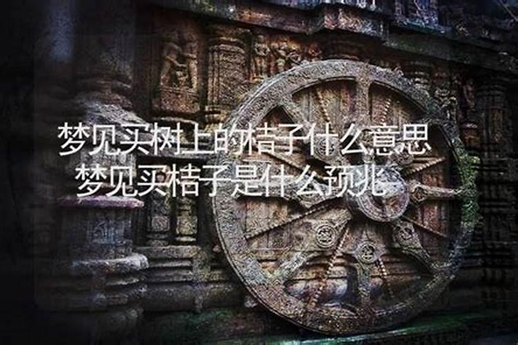 梦见买树是什么意思？