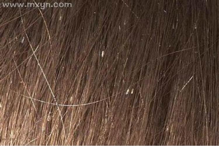 生辰八字属相是按每年的立春那天算起还是春节那天算起？