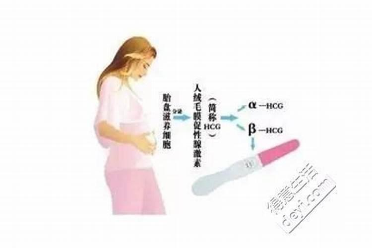 择日哪本书最准