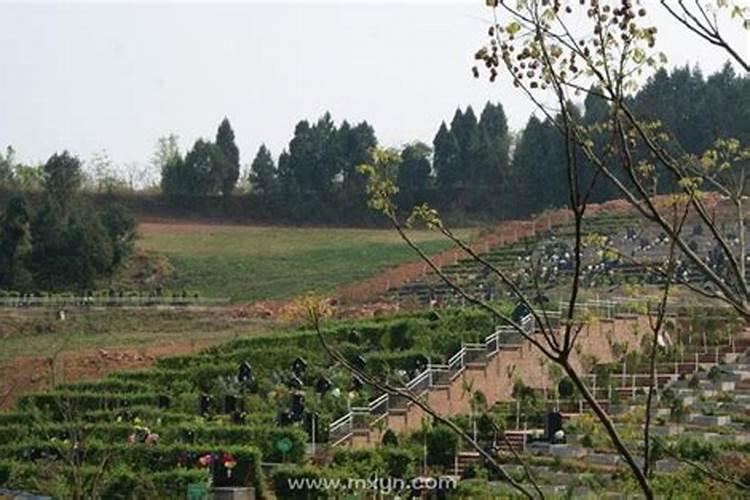 孕妇梦见经过一片坟地是什么意思