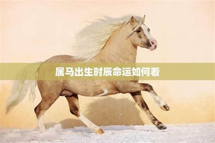属马人出生时辰的命运