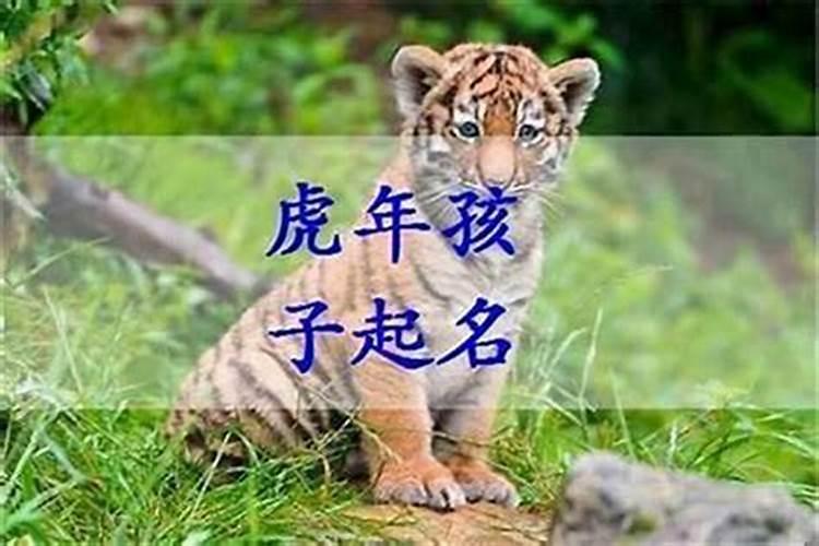 2010年虎年正月初一中午12点15分生的男孩命怎么样