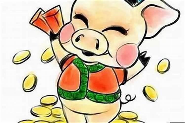 属猪的人十二生肖流年财运 猪逢兔年财源充足？