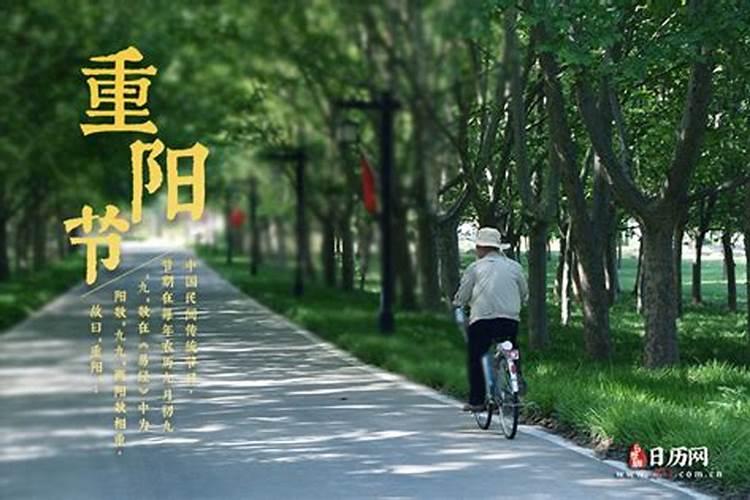 木石前盟 读后感 高手进