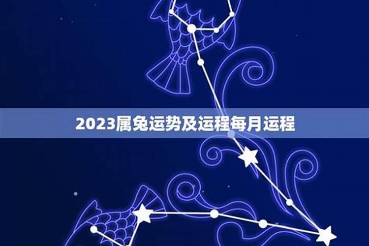 属兔1987年5月运程