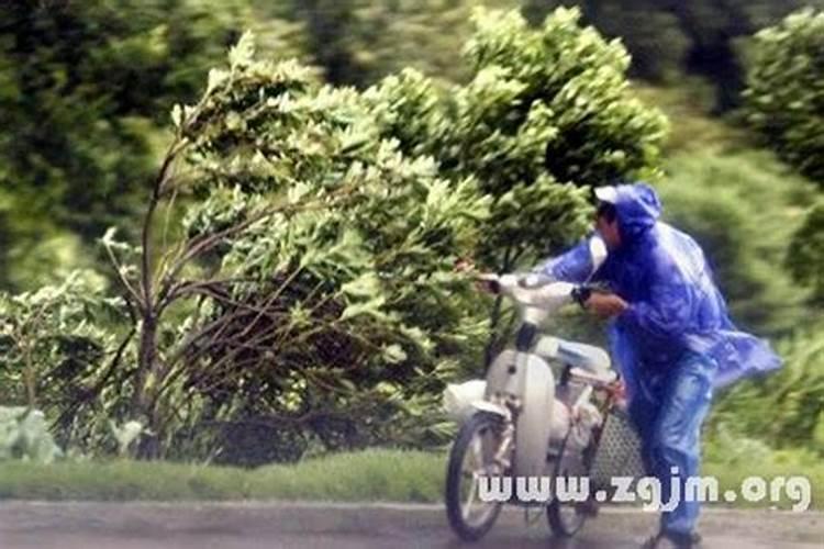 女人梦见刮狂风是什么意思