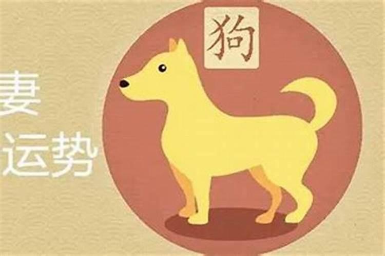 夏至节气的特点和风俗有哪些 夏至的来历是什么
