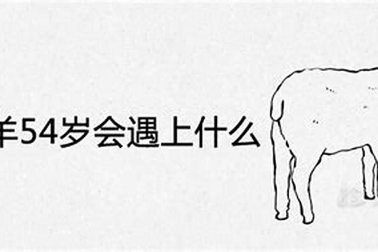 1986年农历5月11日寅时出生属虎五行