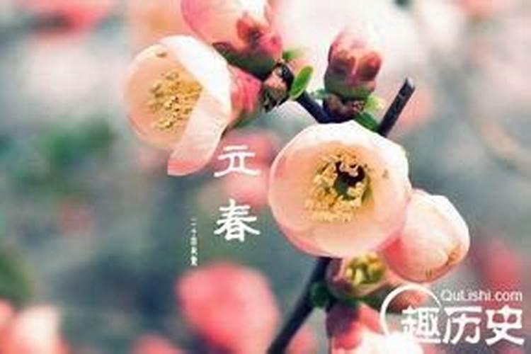 80年出生属什么生肖