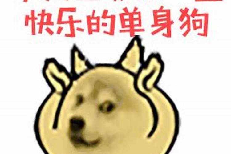淮滨旅游景点大全,淮滨旅游景点有哪些