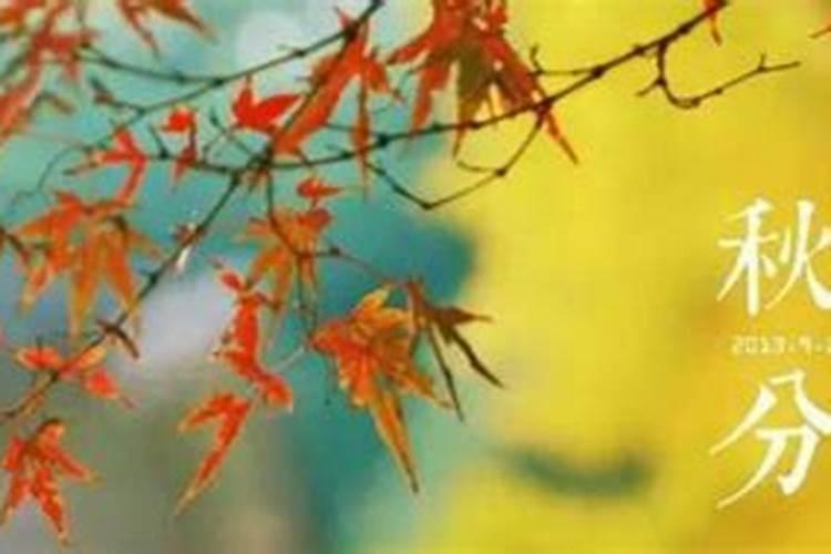 二十四节气秋分的含义