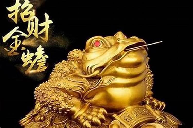 生肖羊2025年运势 属羊2025年运势及运程