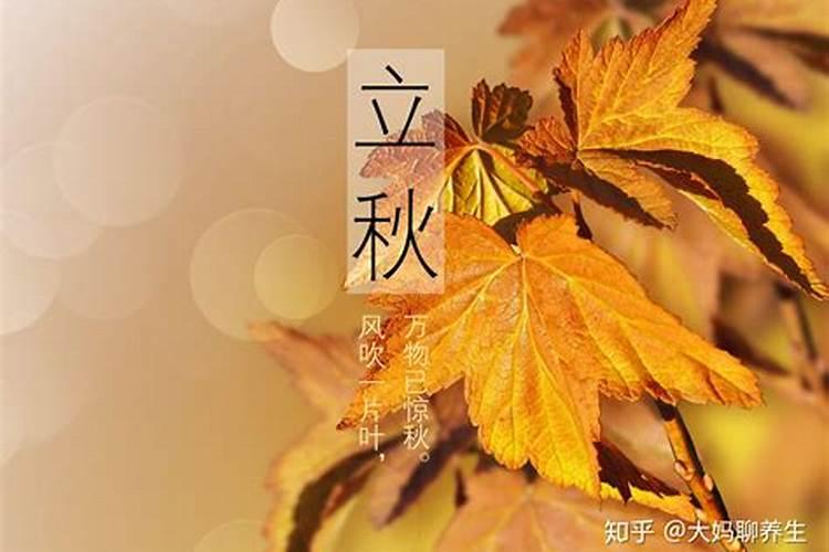91年生肖羊运程如何