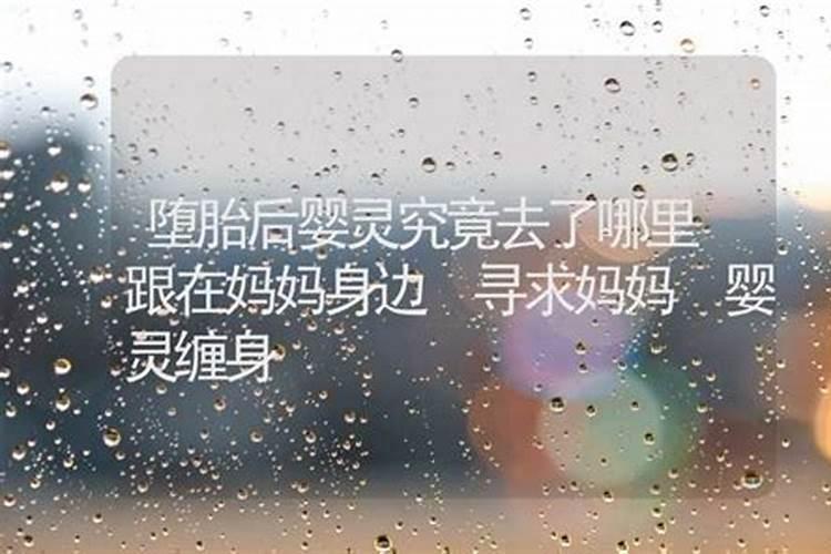 2025年双子座运势