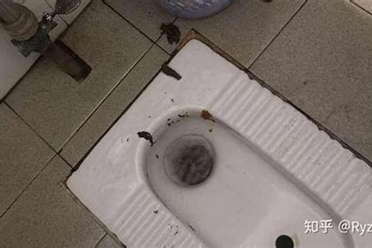 梦见厕所蹲便池堵了水溢了满地