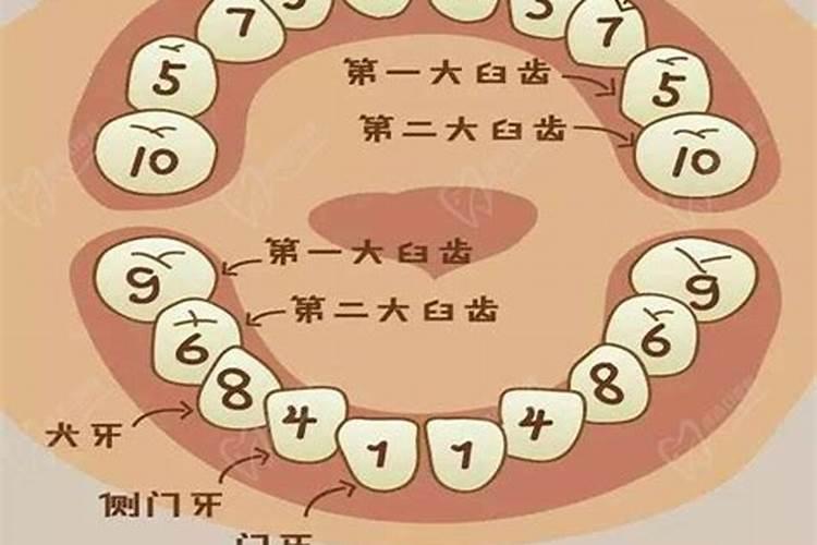 小孩子正月初一掉牙齿,是什么预兆？!