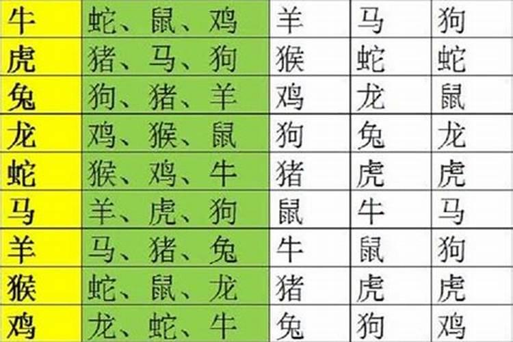 鸡年哪些生肖犯太岁