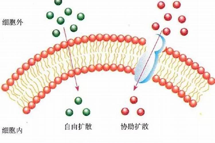 转运有什么方法有哪些