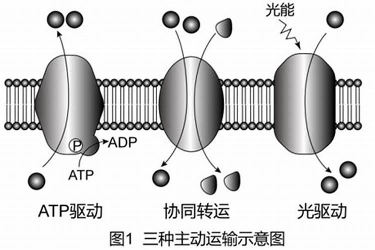 运气不好怎么转运方法六种方法
