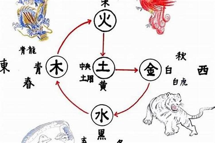 请高手帮我算下命 农历1984年8月18晚上20点40分出生 (阳历是9月13日...