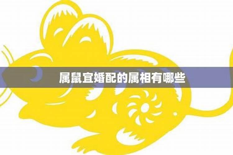 算两个人姻缘,算下两人的姻缘行不行