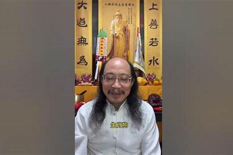 邵伟华四柱预测算命