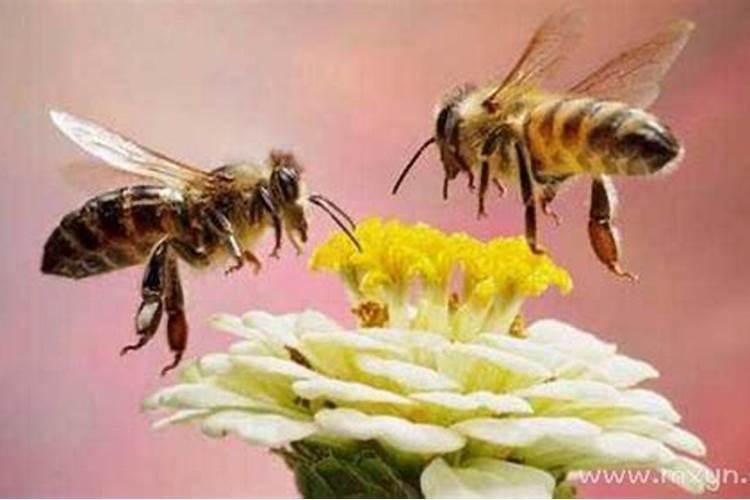 算命中伤官是什么意思
