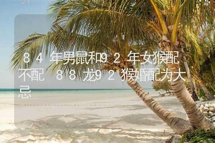 1992年(农历六月初二)属猴(女),1986年(农历九月二十九)属虎(男...